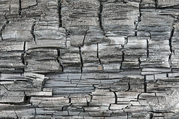 Textura Fondo Del Tronco Madera Carbonizada Quemada Macro Toma Realiza — Foto de Stock