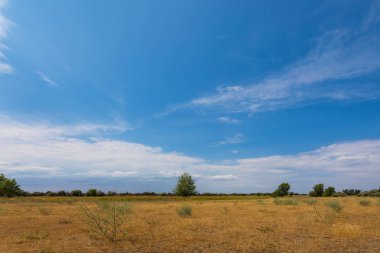 Volgograd Rusya bozkır veya meşe, çim ve bulutlar ile Temmuz ayında kır. Güney Rusya'nın sıcak ry yaz aylarında tipik yaz manzara