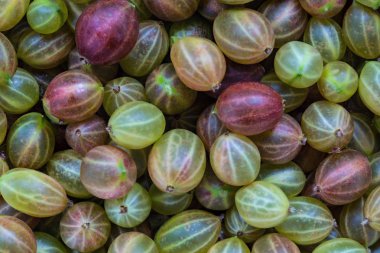 Bektaşi üzümü çilek arka plan veya doku. Makro çekim yığın teknoloji aracılığıyla yapılır