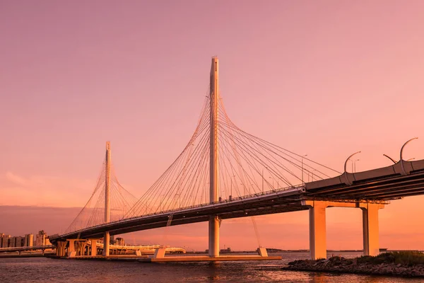 Pont Route Circulaire Sur Rivière Neva Près Embouchure Celui Heure — Photo