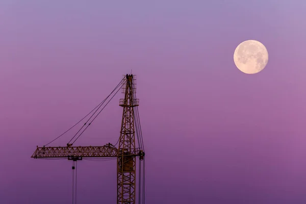 Πανέμορφο Τοπίο Της Σιλουέτα Της Απομονωμένη Γερανός Και Φεγγάρι Φόντο — Φωτογραφία Αρχείου