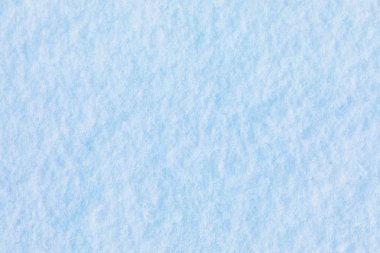 Kar ve buz kristal arka plan veya doku Rus Park orman. Drift beyaz kar yüzeyi