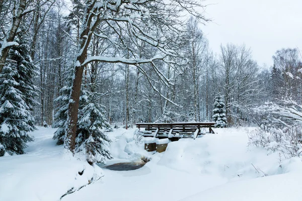 Krajobraz Brook Kładka Lesie Piękne Zimą Lub Parku Wśród Drzew — Zdjęcie stockowe