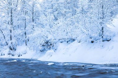 Küçük nehir veya dere güzel kış ormandaki veya parkta ağaçların altında kar, buz ve hoar arasında peyzaj