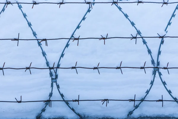 The barbed wire silhouette on the background of snow and blue sky