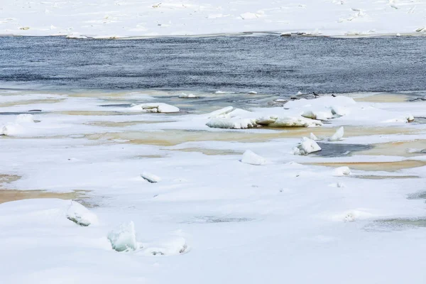 ハンモックと冬川の流氷 氷解凍パッチと晴れた日の春の風景 カラスがテ 氷の上の食事を検索します — ストック写真