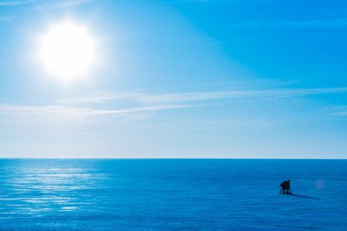 Buzda nehir veya Göl boyunca kış güneşli bir günde gelen insanlar. Mavi kış manzara parlak güneş ve berrak gökyüzü bulutlu