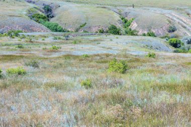 Güneşli yaz gününde Volgograd kenti yakınlarındaki vadileri ile Rus bozkır veya bozkır. Kırsal manzara veya çim, çalılık ve küçük ağaçlar ile görünümü 