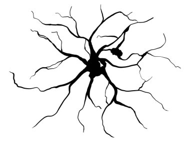 vektör aralığı beyaz arkaplanda izole edildi.