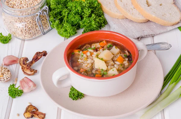 珍珠大麦蔬菜蘑菇纯素食汤 — 图库照片