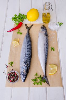 Taze balık. Beyaz arka planda tuz, limon ve baharatlarla uskumru. Otlar ile balık pişirme.