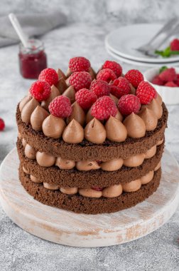 Çırılçıplak çikolatalı ahududu pastası. Beton bir arka planda çikolata kremalı.