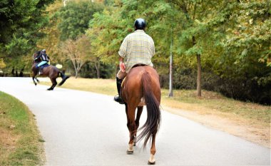 Genç adamlar tarlada ata biniyorlar.