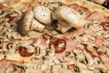 Eritilmiş peynir ve mantar taze pişmiş pizza. Seçici odak