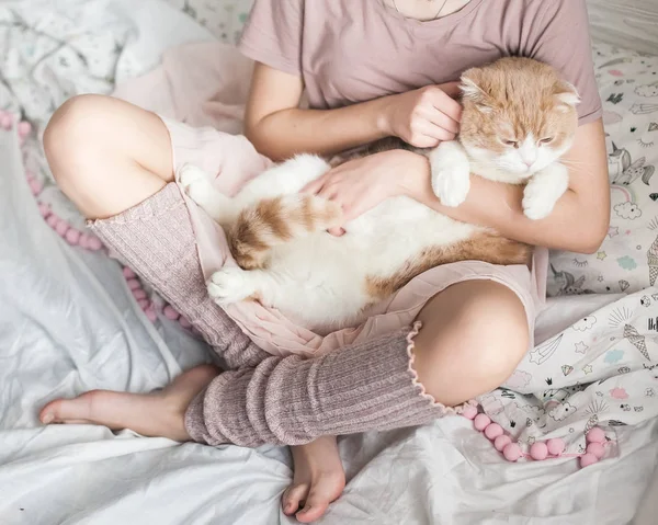 Gatto Relazione Tenera Con Gatto Adoro Gli Animali Amore Gatto — Foto Stock