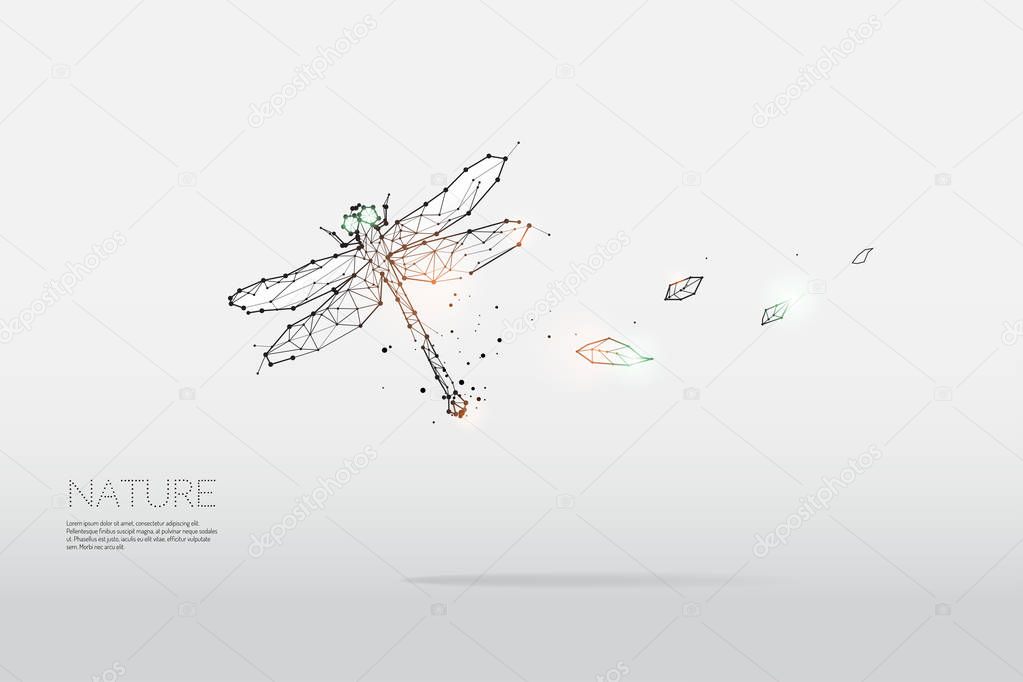 The particles, geometric art, line and dot of dragonfly