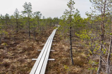 Kemeri bataklık Ulusal Parkı
