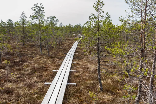 Kemeri bataklık Ulusal Parkı