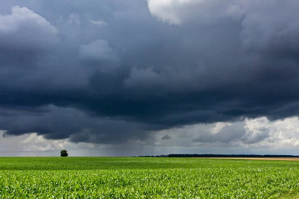 Fırtınalı gökyüzü ve alan