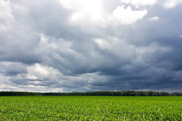 Himmel und Feld stürmisch — Stockfoto