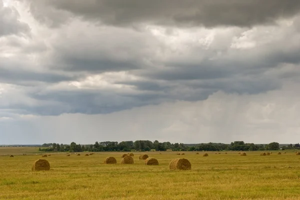 Herbst Feld und Gras rollt — Stockfoto