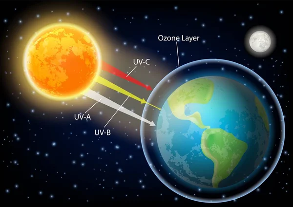 UV radyasyon diyagramı vektör gerçekçi çizim