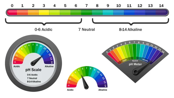 PH metro di controllo del livello di acidità, illustrazione vettoriale — Vettoriale Stock