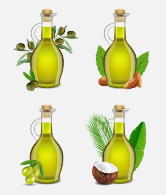 Vektör gerçekçi argan, zeytin, Hindistan cevizi ve badem yağı ayarla