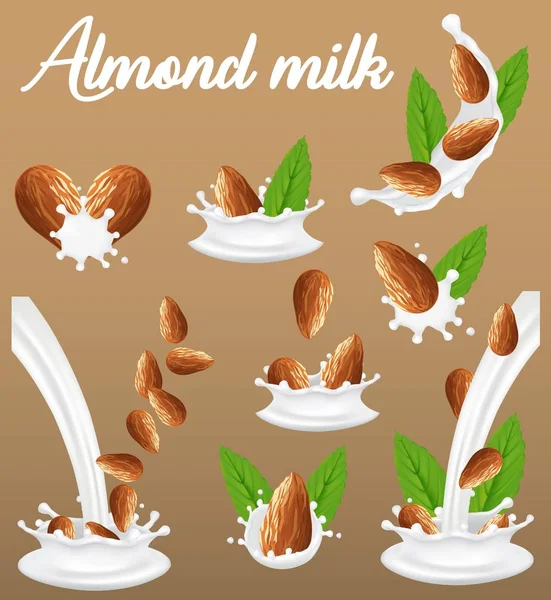 Almond nut in milk splash, vector realistic illustration