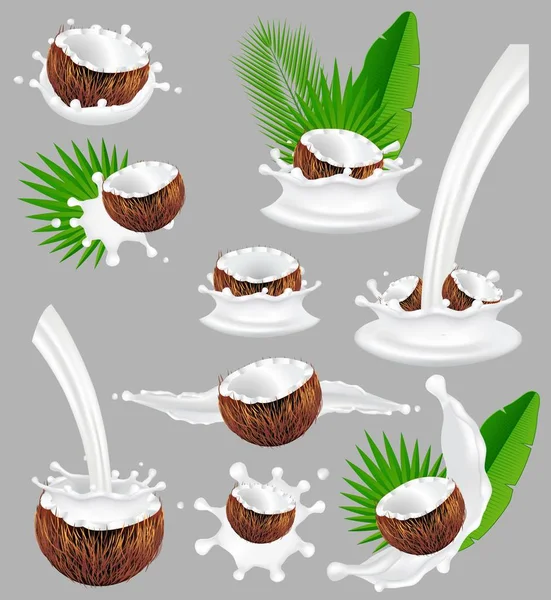 Noix de coco avec éclaboussure de lait, illustration vectorielle réaliste — Image vectorielle