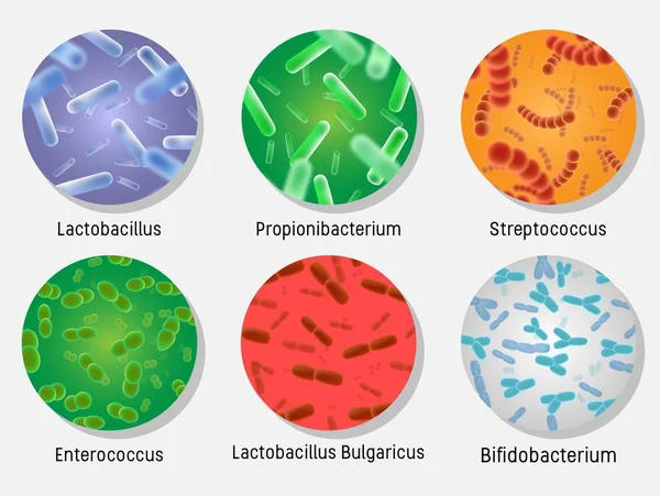 圆形设置中的细菌菌群，载体隔离插图 — 图库矢量图片