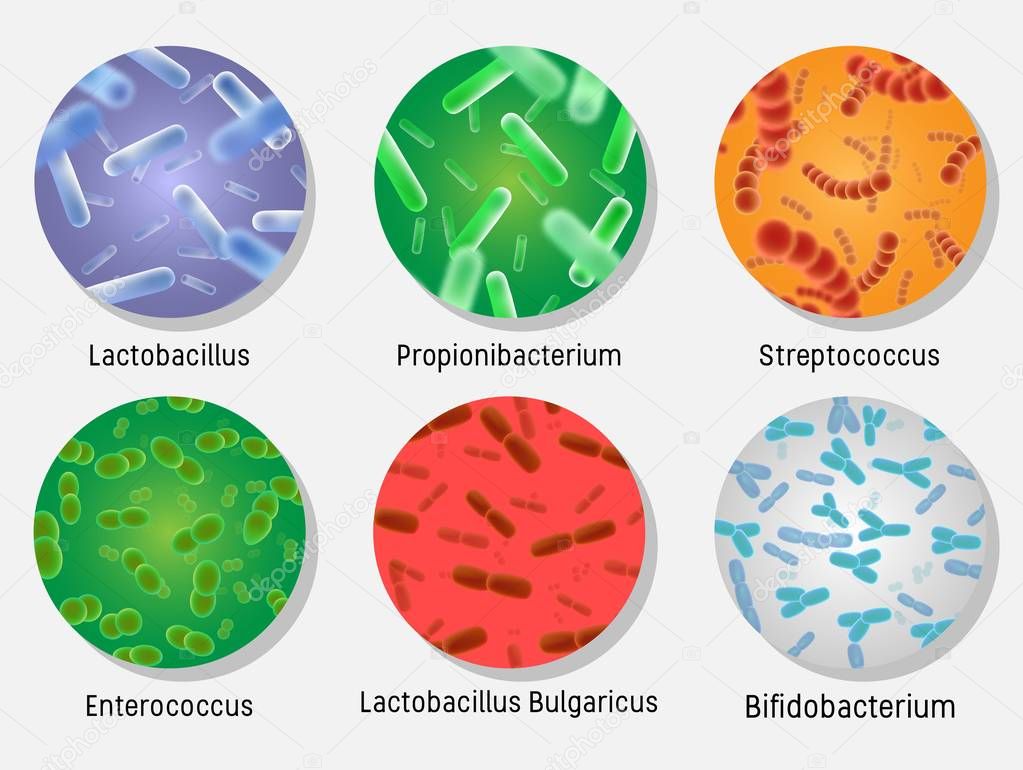 Bacterial flora in circle set, vector isolated illustration
