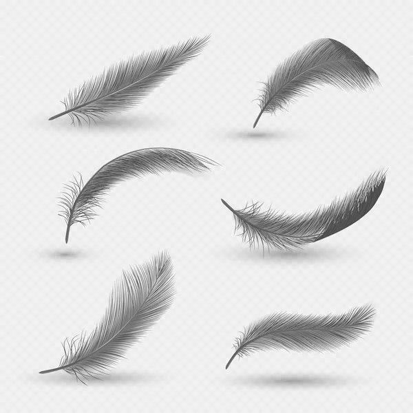 Черные пушистые лебединые перья, векторная изолированная иллюстрация — стоковый вектор