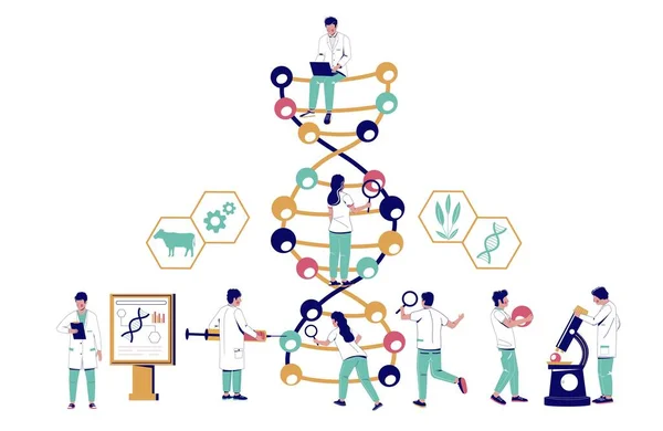 Επιστήμονες που μελετούν το DNA στο εργαστήριο βιοτεχνολογίας, διανυσματική επίπεδη απεικόνιση — Διανυσματικό Αρχείο
