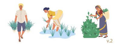 Hintli çiftçi karakter seti, vektör düz izole çizim