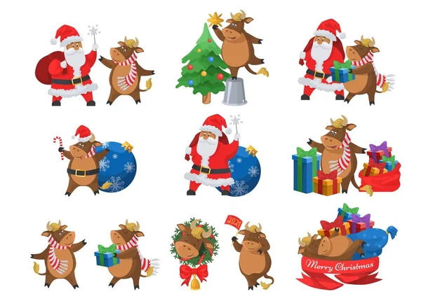 Buon Babbo Natale e bue carino, cinese nuovo anno 2021 segno. Simboli Buon Natale, illustrazione isolata vettoriale piatta. — Vettoriale Stock