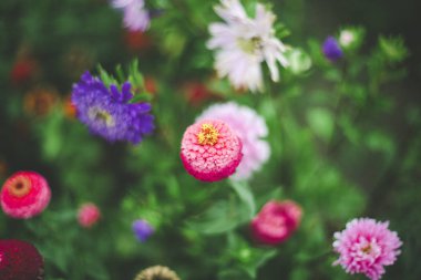 renkli bahar çiçek swirley bokeh