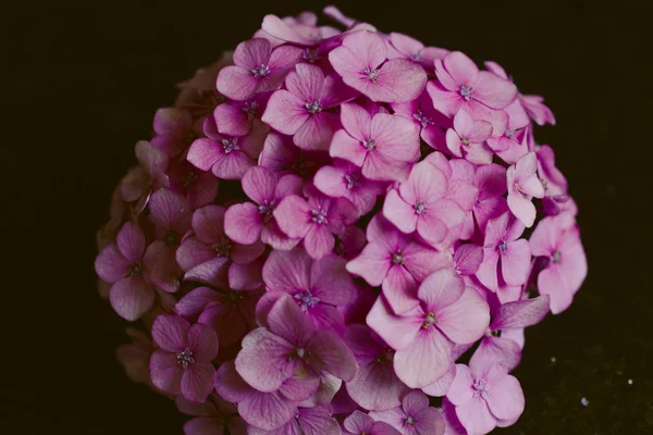 Colorful Spring Flowers Swirley Bokeh — Stock Photo, Image