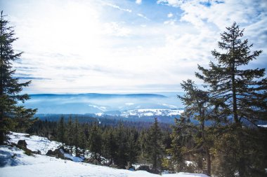 Ochesenkop, fihtelgebirge, oberfranken, bavyera