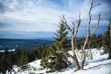 Ochesenkop, fihtelgebirge, oberfranken, bavyera