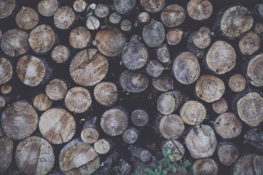 yakacak odun ağaç halkaları kür oduncu