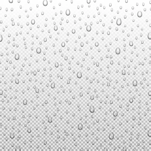 在透明的背景下隔绝的水滴或蒸汽淋浴器 现实的纯液滴凝结 矢量图解 — 图库矢量图片