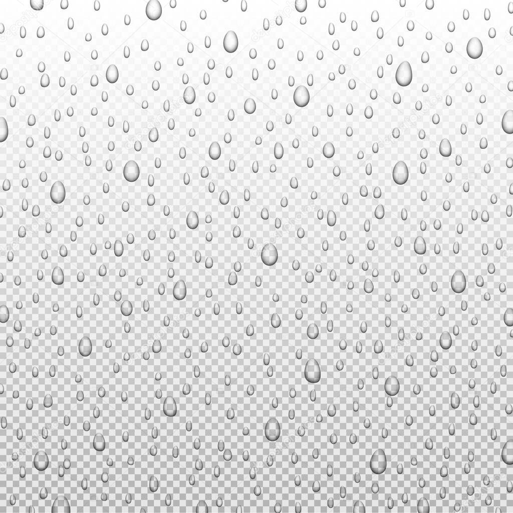 Water rain drops or steam shower isolated on transparent background. Realistic pure droplets condensed, vector illustration