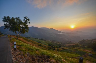 Yol ve Tayland at Vadisi günbatımı