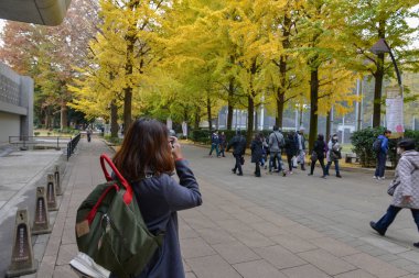 Aralık 2016 yılında Japonya - Kadın bir fotoğraf Tokyo Üniversitesi'nde Ginkgo yaprağı değişti rengiyle alıyor