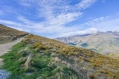 Vadi Yeni Zelanda kahverengi çim kaplı