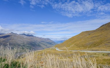 Vadi Yeni Zelanda kahverengi çim kaplı