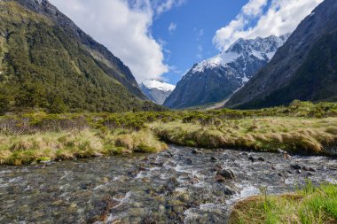 Akarsu ve Yeni Zelanda'da karlı dağlar