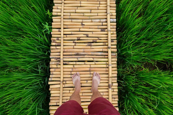 Human is standing on the Bamboo bridge that spanning to the rice field