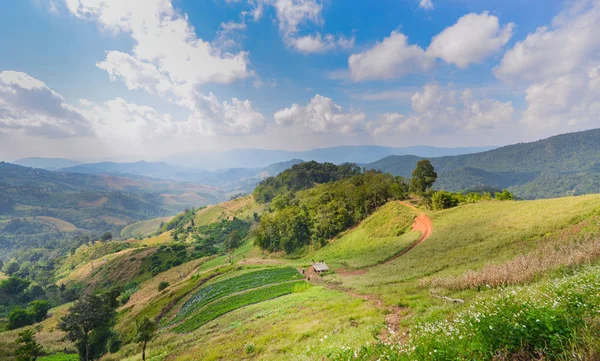 Üstünde belgili tanımlık tepe ve güzel gökyüzü ranch